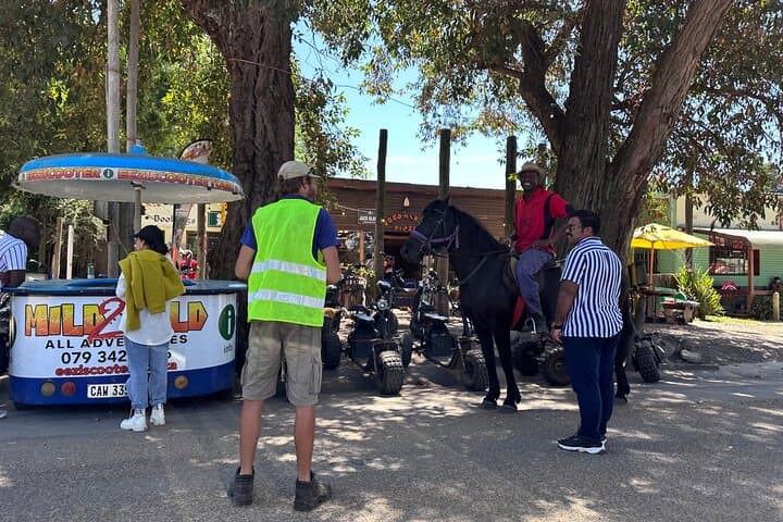 1 Hour Storms River Horse Trails Activity