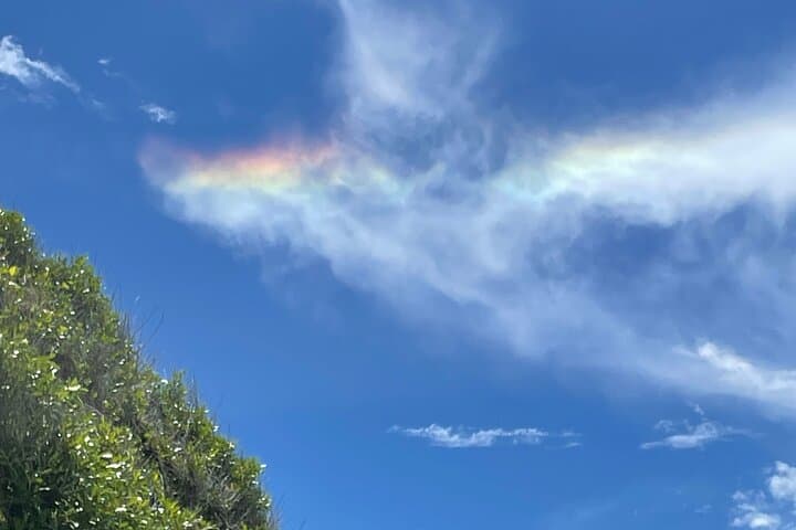 שירות אוטובוסים בסיישלים