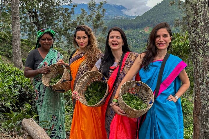 סיור במטעי תה באלה, סרי לנקה