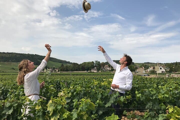From Dijon: Full day the most of Burgundy with lunch