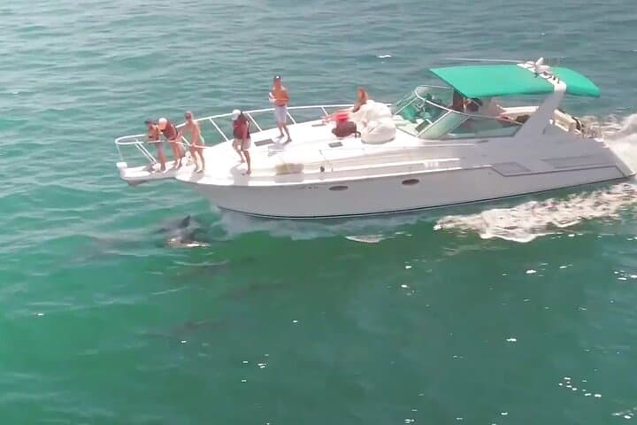 LA: ספינת יוקרה פרטית ליום הולדת (כרטיס אחד מכסה 1-6 אנשים)