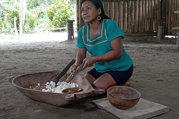 סיור יומי בג'ונגל 360° באמזוניה, אקוודור, יער גשם