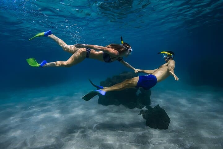 Maui: Turtle Town Snorkel with Photo and Video