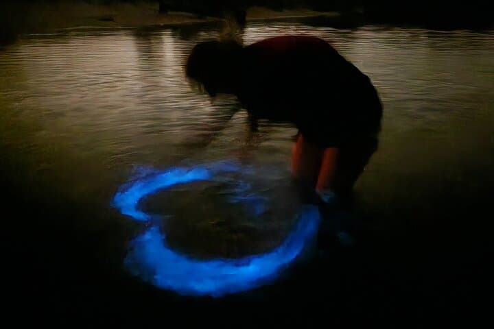  Magic After Dark Bioluminescence Kayak Tour Orlando