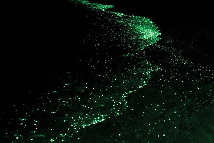 Bioluminescence Kayak Tour in the San Juan Islands