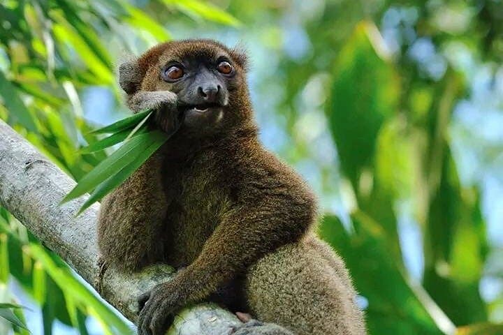 טיול של 8 ימים בכביש RN7 למנגלי הדרומית איפאטי