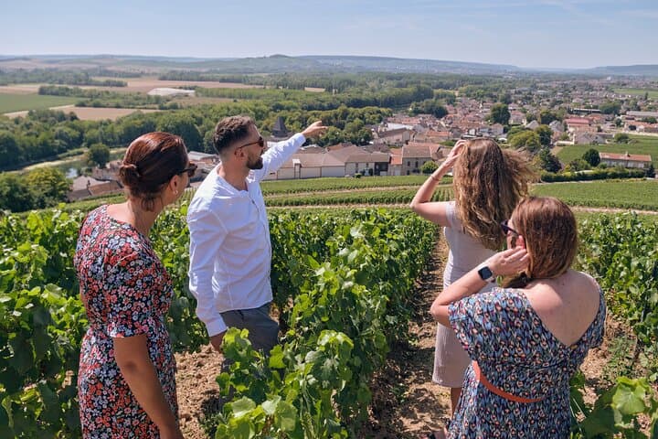 From Epernay: Champagne Small-Group tour with tastings & Lunch