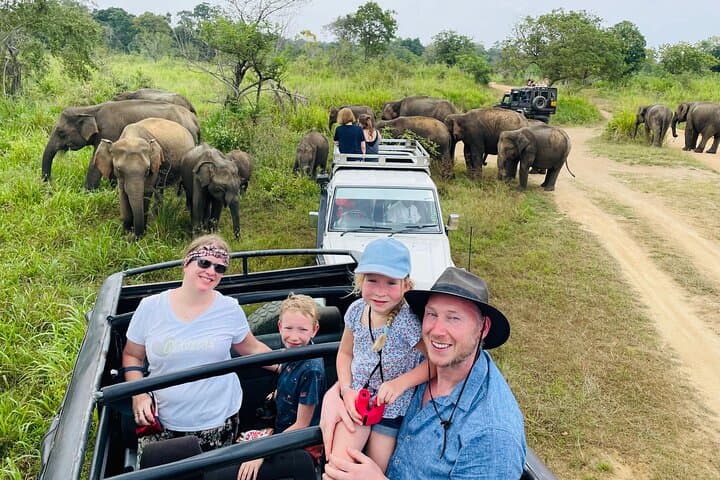 Minneriya National Park Safari - Private Jeep with Hotel Pickup