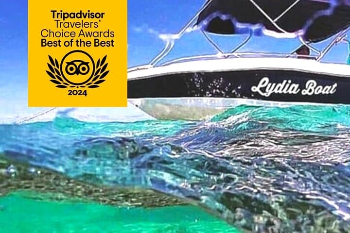 Lydia Boat Mauritius: Le Morne :Eco-Friendly Whales&Dolphins Tour