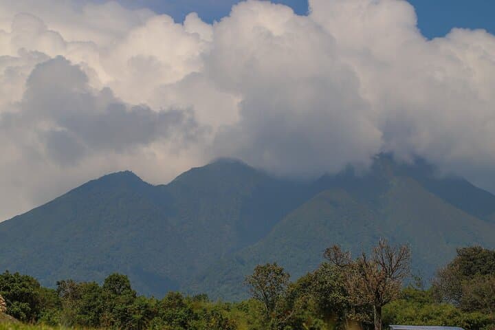 קיסורו חוויה בולטת ביהלום של אוגנדה