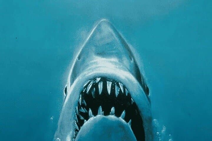 כל הסיורים החדשים עם פיות משותפות ידידותיים לתקציב