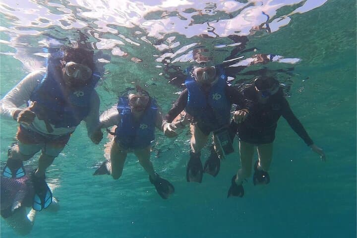 חוויית שנורקלינג בשוניות אלמוגים ובתניני ים