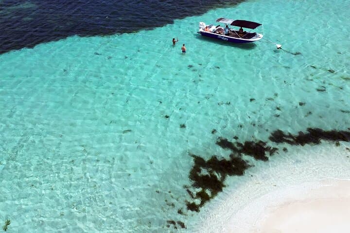 סיור מודרך בסירה: מנגרובים, איילטים, שנורקלינג, פלנטר.