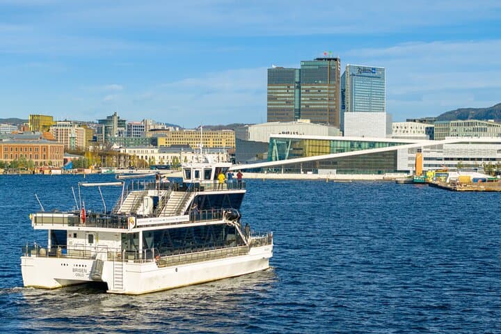 Guided Sightseeing Cruise on Oslofjord by Premium Silent Boat