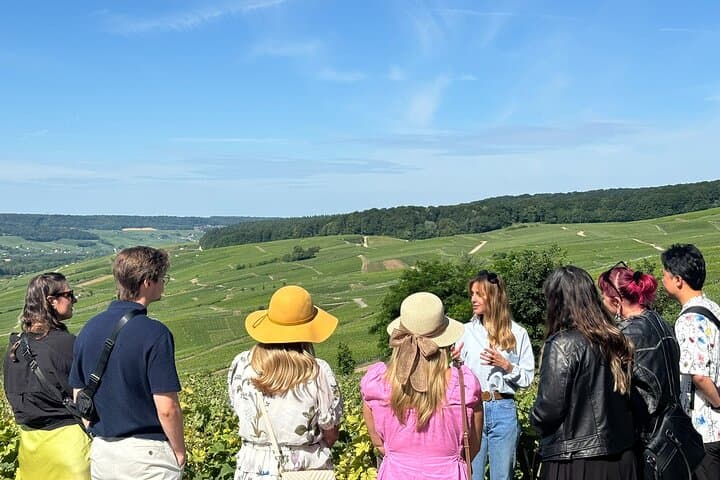 From Reims: Champagne Small-Group tour with tastings & Lunch