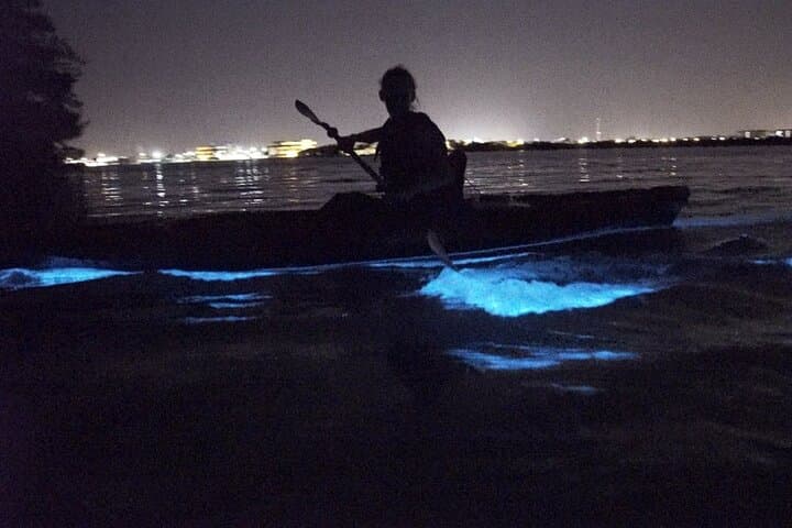 Clear Kayaks Bioluminescent Bay Tours in Vieques PR
