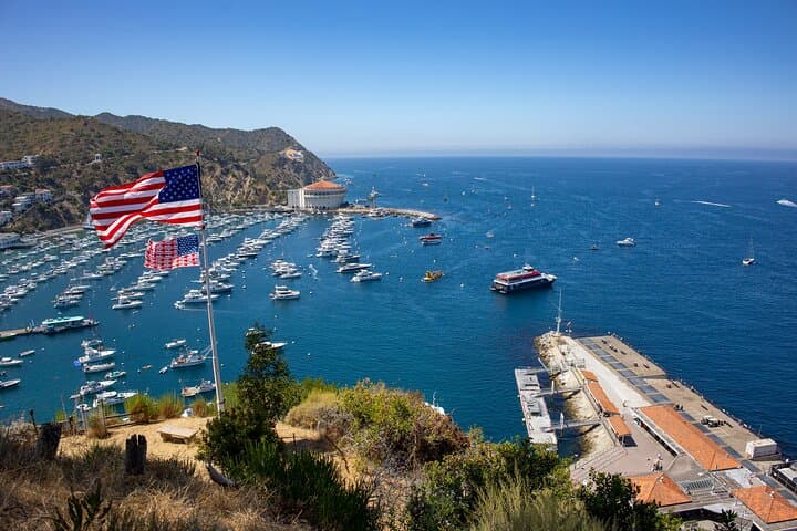 Catalina Island City and Scenic Mount Ada Tour 