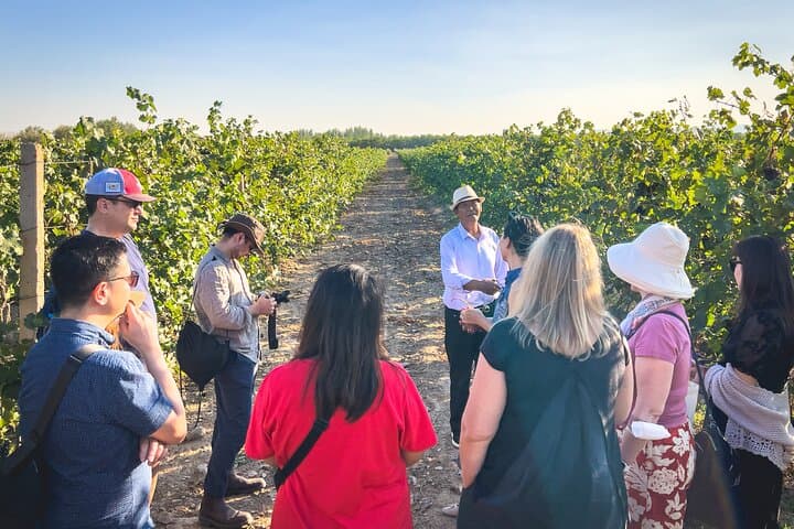 טיול של 3 ימים ו-2 לילות לטעימות יין באזור היין של נינגשיה שבסין