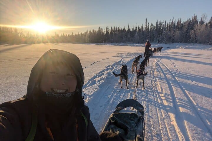 רכיבת מזחלות עם כלבי האסקי אלסקאיים בכלביית אנודה ביילואו קייפ