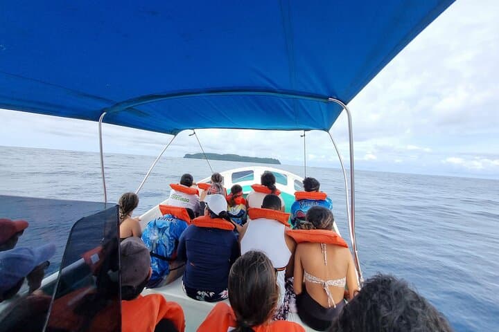 Snorkel tour Canyon island Drake Bay with Lunch