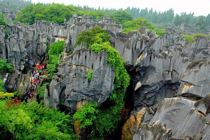 Stone Forest + Yiliang Roast Duck + Kunming City Private Tour
