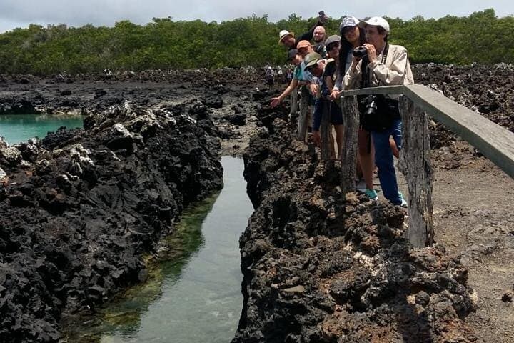 סיור באי טינטוראס מאיסבלה - טיול רגלי ושנורקלינג