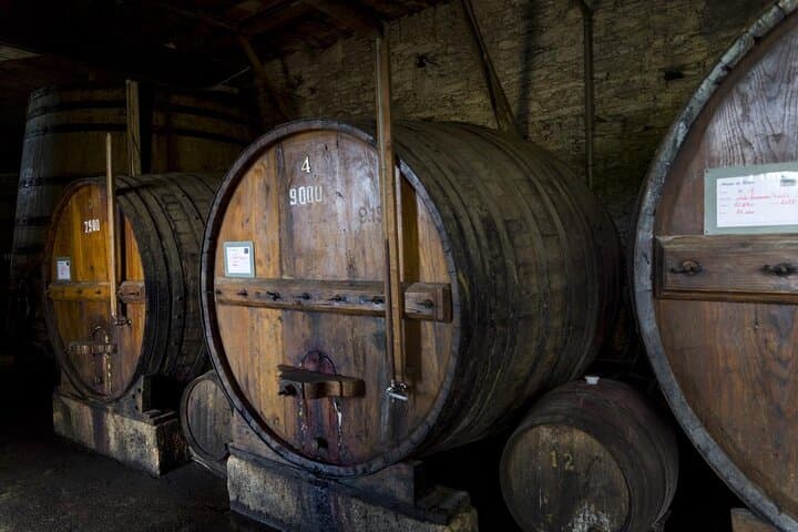 סיור מלא בדואר עם טעימת יין וארוחת צהריים