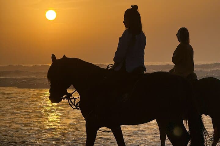 Horseback Riding in Essaouira - Essaouira HorseRiding