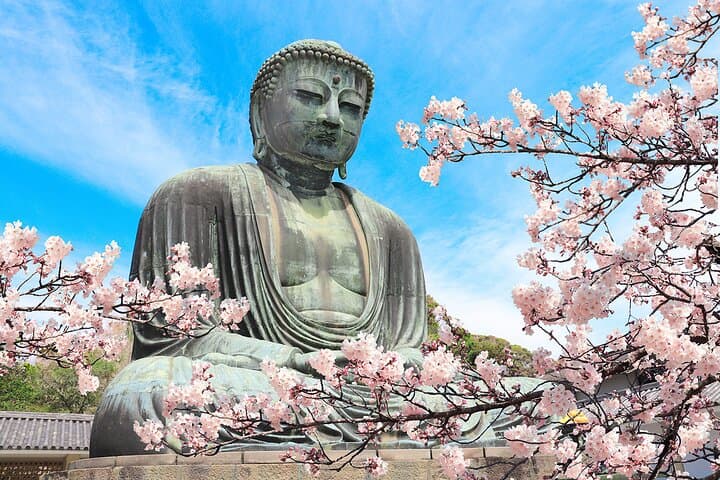 Kamakura Cherry Blossom Full Day Walking Tour with a Local Guide