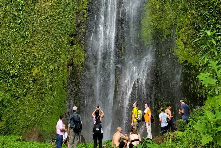  One Day Tour on Ometepe : Waterfall - Kayaking - Sunset