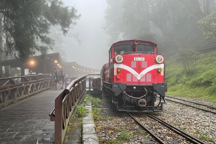 Alishan Day Tour from Chiayi (Incl. Park Entrance)