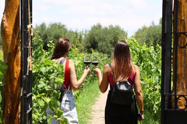 סיור במנדוזה: יינות, אמפנדות ושמן זית