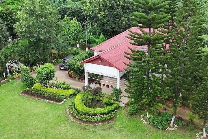 Guwahati Tea Garden Tour with Lunch & Hi Tea (Premium Experience)