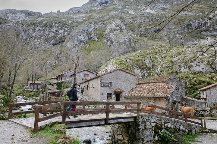 Excursion to Picos de Europa : Bulnes, funicular and cheese Cabrales