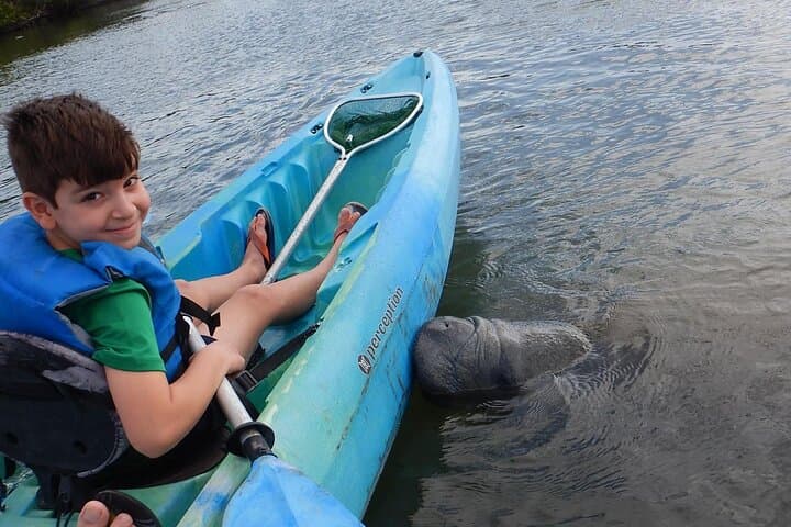 Manatee and Dolphin Kayaking | Wildlife Refuge (Titusville)