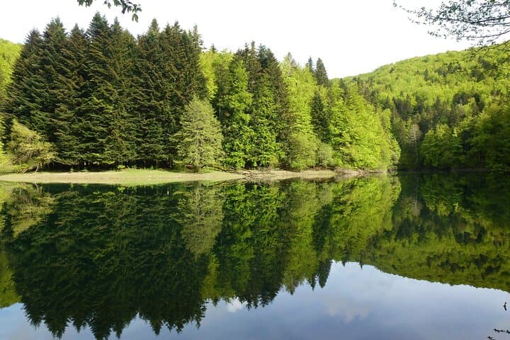 טיול ליער אירטי ואוצ'גאביה