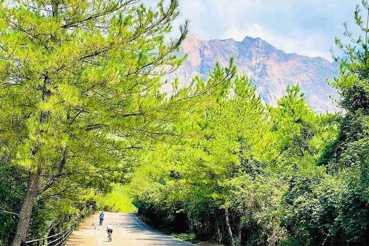 מסע טיפוס על הלבה של סאקורה ג'ימה במאה עם אופניים חשמליים