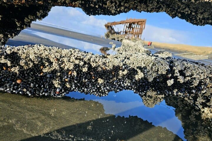 Full-Day Tour: 4 Coastal Towns + Haystack Rock