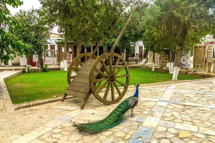 Beyond the Walls: Countryside Tour with Transport and Lunch