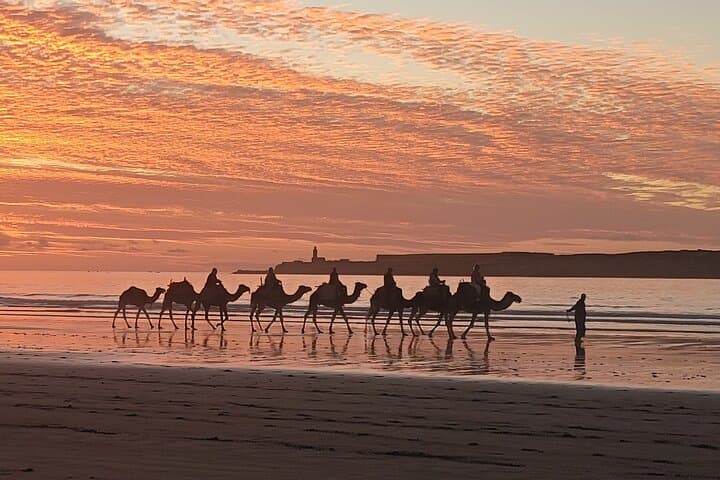 רכיבה של 3 שעות על גמל בשקיעה