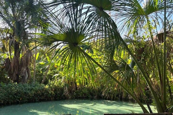 סיור של 3 ימים לגן העדן הטבעי של ג'לאפאו