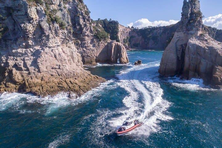 Cathedral Cove Scenic Cruises Whitianga
