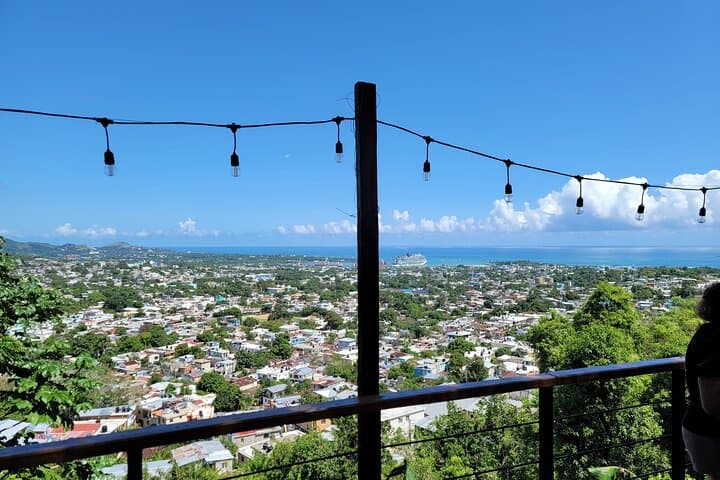 סיור עירוני פורטו פלאטה VIP (פרטי וניתן להתאמה אישית)