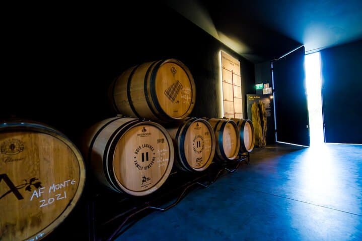 Douro Valley Private Wine Tour (with the producers)