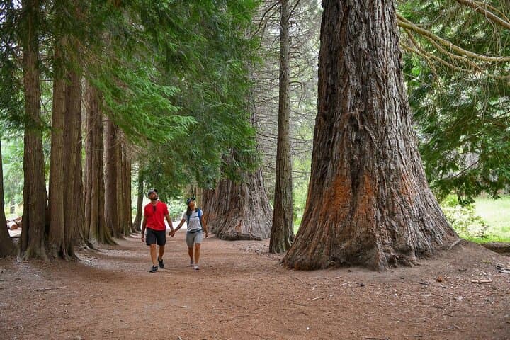 ברילוצ'ה: טיול boat לאי ויקטוריה וליער האריאן