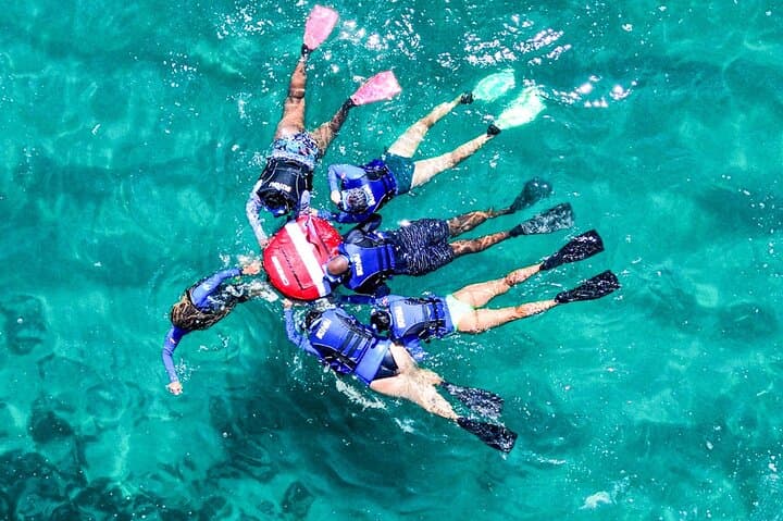 Snorkel Dive with Turtles