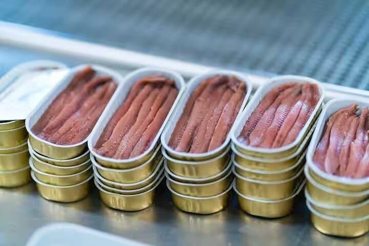 Visit and tasting 5Ñ de Santoña | BEST ANCHOVIES SANTOÑA 2026