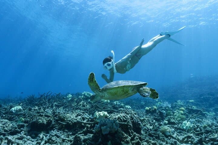 Private snorkeling tour Ishigaki island