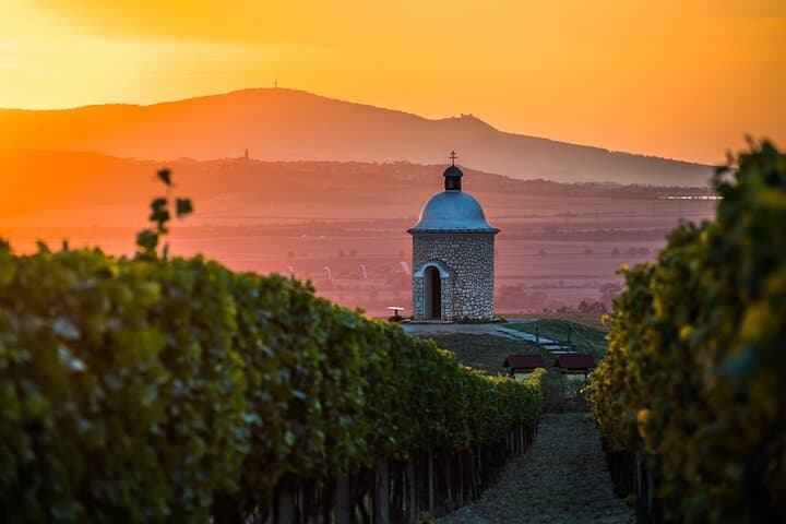 Moravian E-Bike & Wine Private Day Trip From Brno