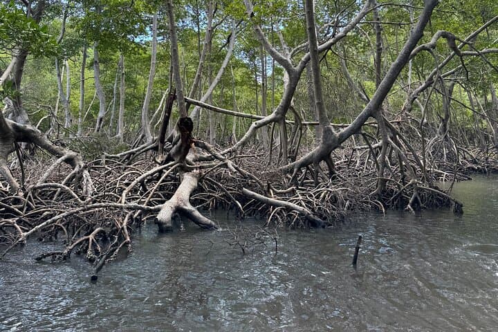 Haitian National Park and fell up